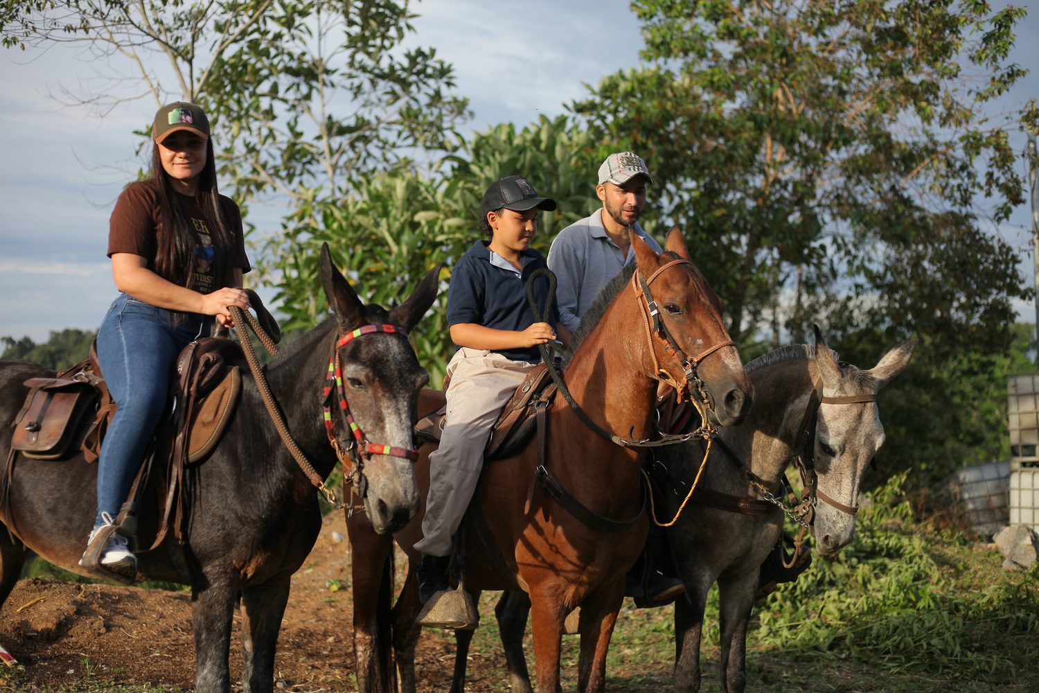 cabalgata