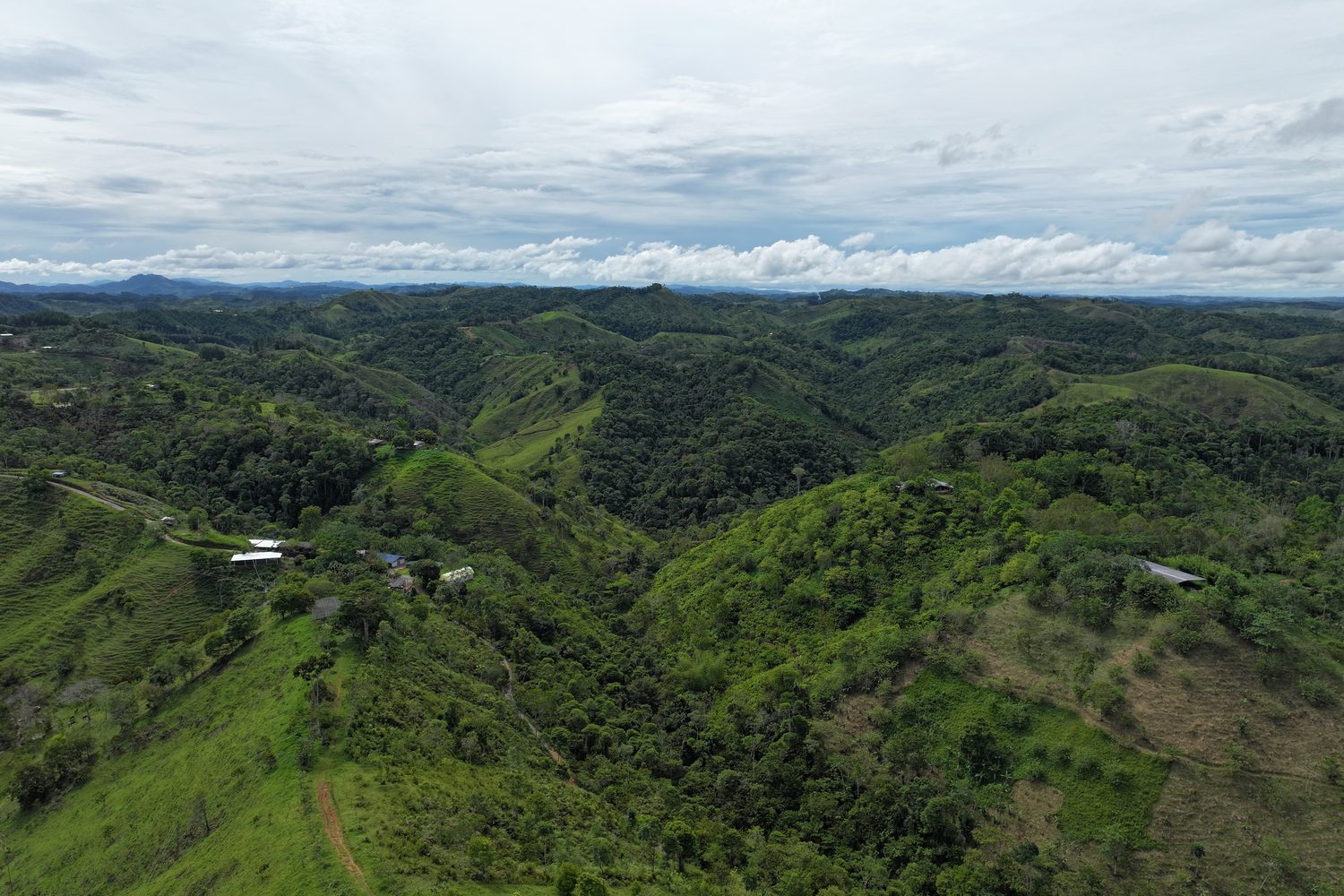 paisaje