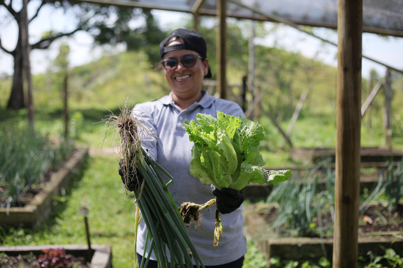 La huerta