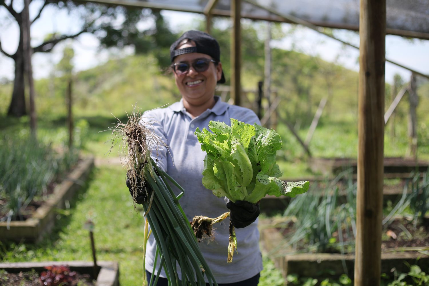 la huerta