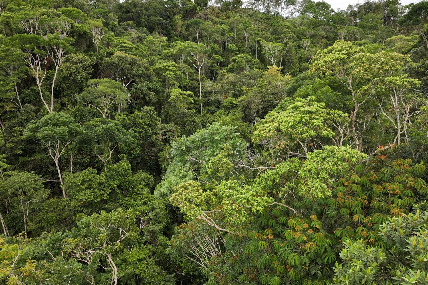 la reserva natural